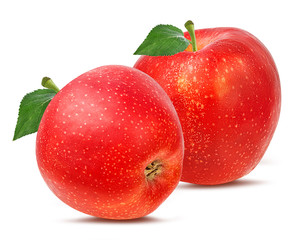 Fresh red apple isolated on white background with clipping path