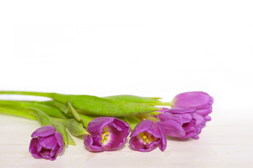 Bouquet of violet tulip flowers on white wooden background with copy space