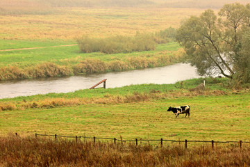 poranek na Podlasiu © Janusz Lipiński