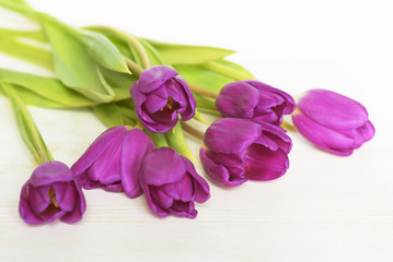 Obraz na płótnie Canvas Bouquet of violet tulip flowers on white wooden background with copy space