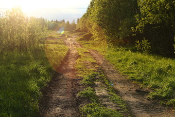 Country road through the fields in sunset