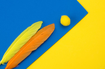 Colorful Feathers and Foam Toys