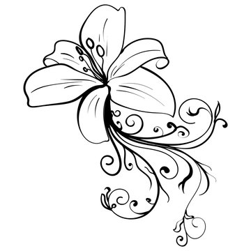 Grunge elegance ink tattoo sketch flower