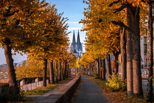 K&ouml;lner Dom im Herbst