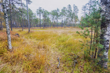 Lahemaa National Park in Estonia