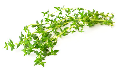 fresh herb, thyme isolated on white