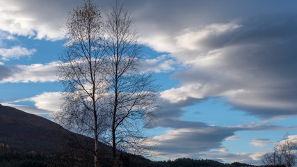 Cloudy summer sky