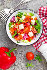 Vegetable dish, salad with bell pepper, tomato, italian mix, fresh lettuce and mozzarella cheese. Healthy food. Top view