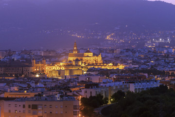 Fototapeta na wymiar Night panorama of Cordoba with Mosque Cathedral