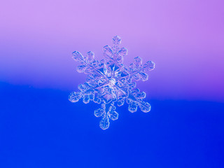 Snowflake on pink and Blue Background