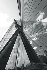 Closeup of cable stayed bridge