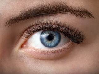 Close up photo of woman's blue eye in studio