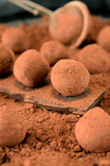 Fototapeta na wymiar Chocolate truffles covered with cacao powder on a black plate