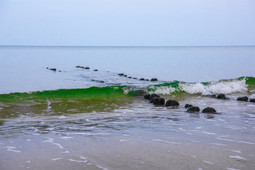 Zielona fala morska