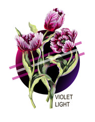 Striped tulip in pink and purple light. Trendy vector illustration