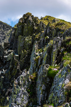 rocky cliffs of Fagaras mountains in summertime. beautiful nature scenery on high altitude