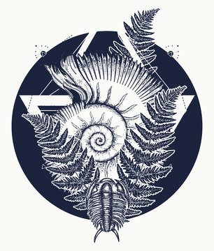 Nautilus shell prehistoric tattoo art. Trilobites, ammonite and fern tattoo. Ancient ammonite in the triangle t-shirt design. Ancient fossils, symbol of paleontology, science, education