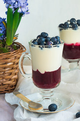 Blueberry coconut yogurt dessert garnished with fresh fruit