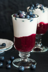 Blueberry coconut yogurt dessert garnished with fresh fruit