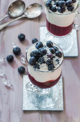 Blueberry coconut yogurt dessert garnished with fresh fruit