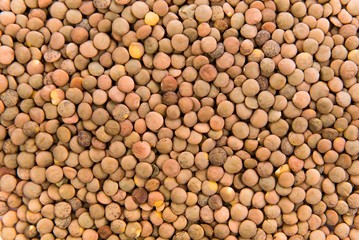 Useful grits of lentils background