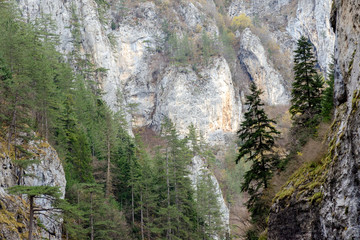 Fototapeta na wymiar Precipitous cliffs of Trigrad gorge, Rhodope Mountains, Bulgaria