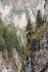 Precipitous cliffs of Trigrad gorge, Rhodope Mountains, Bulgaria