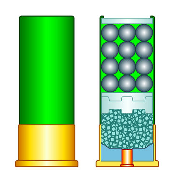 Shotgun shell illustration