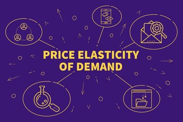 Conceptual business illustration with the words price elasticity of demand