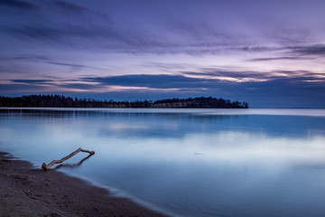 Sunset at the beach with a branch in the foreground