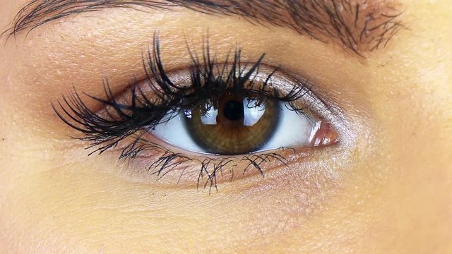 Closeup on a female eye