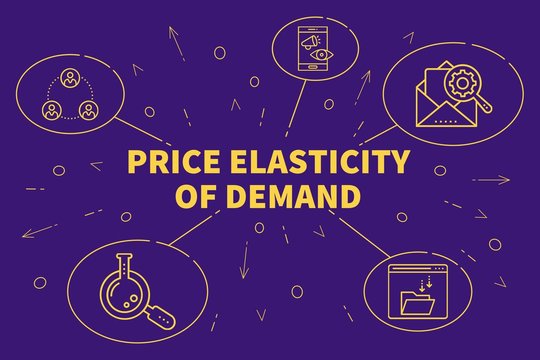 Conceptual Business Illustration With The Words Price Elasticity Of Demand