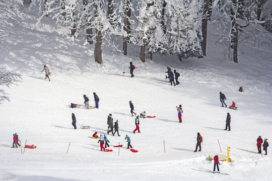 A group kids and people sledding and skiing in the snow in the winter