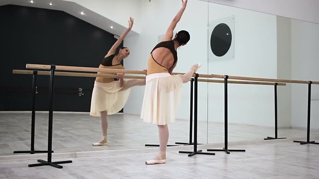 Ballet artist doing Plie, Demi-plie, Battement developpe, Port de bras at barre
