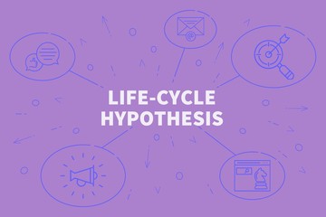 Conceptual business illustration with the words life-cycle hypothesis