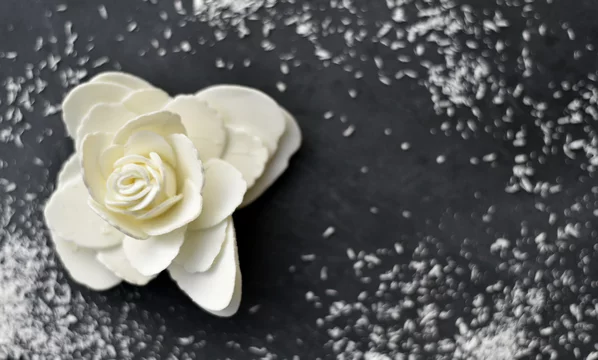 Rose Blanche Sur Fond Noir Stock Photo Adobe Stock