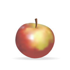 realistic vector apple