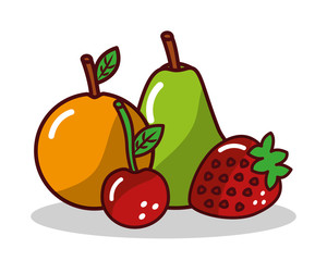 fruit orange pear strawberry cherry vector illustration