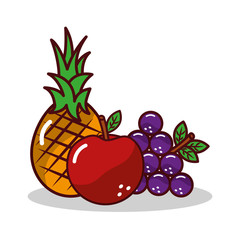 fruit pineapplee grapes apple harvest vector illustration