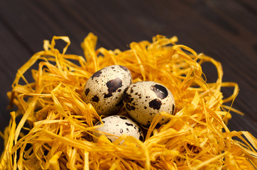 Obraz premium Quail eggs in the decorative nest on dark wooden background.