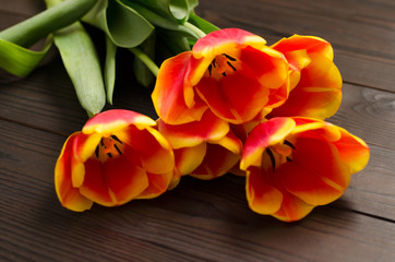Bouquet of red and yellow tulips on a dark wooden background. Close up