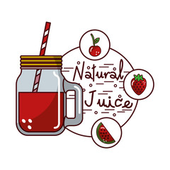 cherry apple watermelon fruit and glass jar natural juice vector illustration