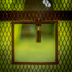 close-up of a padlock hanging from a gate with green background