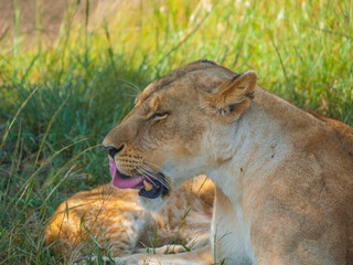 Kenya, Africa. Landscapes, Wildlife and Safari