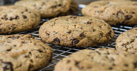 Freshly Baked Chocolate Cookies on Cooling Rack. Sweet Biscuits. Homemade pastry.