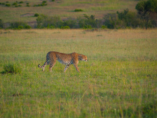 Kenya, Africa. Landscapes, Wildlife and Safari