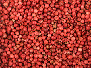 Pink Pepper or Red Pepper Corns