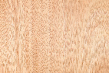 Bright wooden brown texture