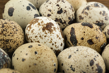 Quail Eggs Background