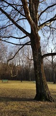 Park © michalsen